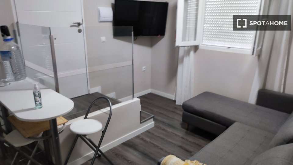 Apartment mono Santa_Cruz_De_Tenerife, 37m² — photo 4