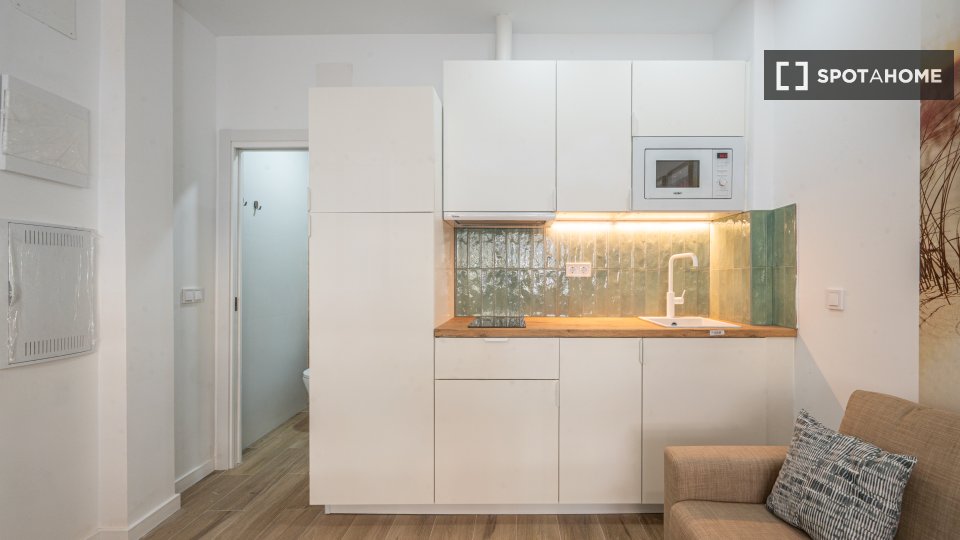 Apartment mono Madrid, 30m² — photo 11
