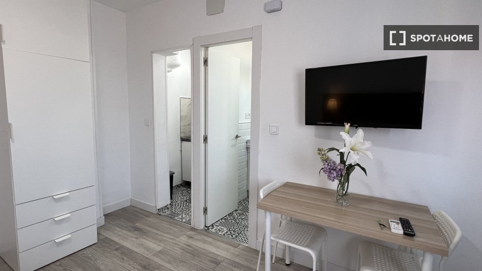 Apartment mono Madrid, 25m² — photo 4