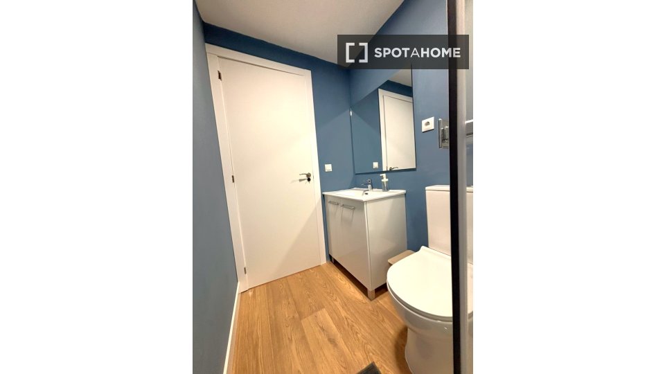 Double room Madrid, 7 beds, 160m² — photo 83