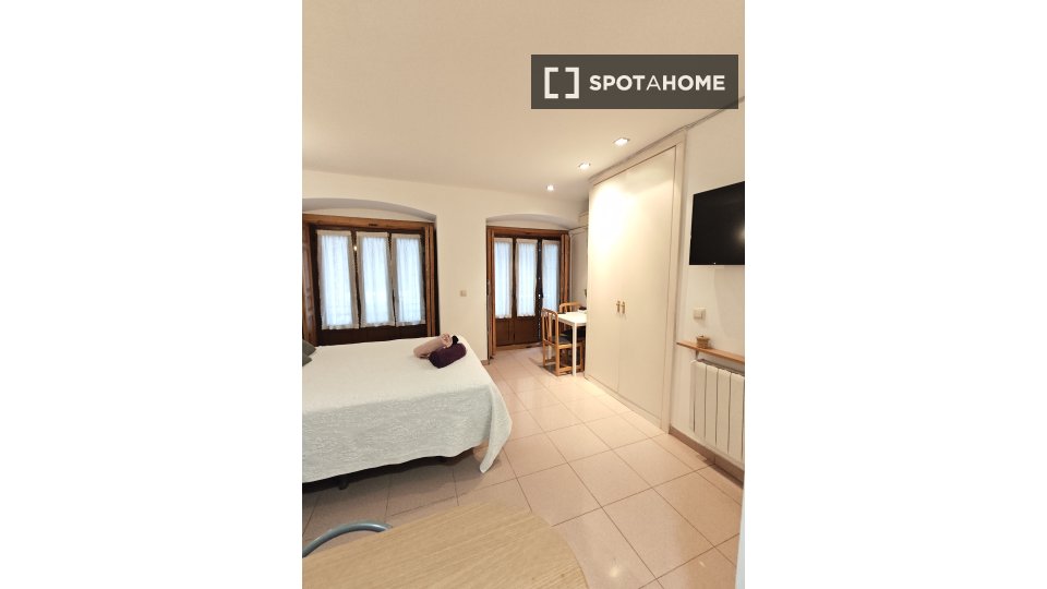 Apartment mono Madrid, 25m² — photo 30