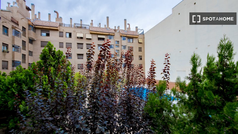Camera doppia Madrid, 5 camere — foto 5