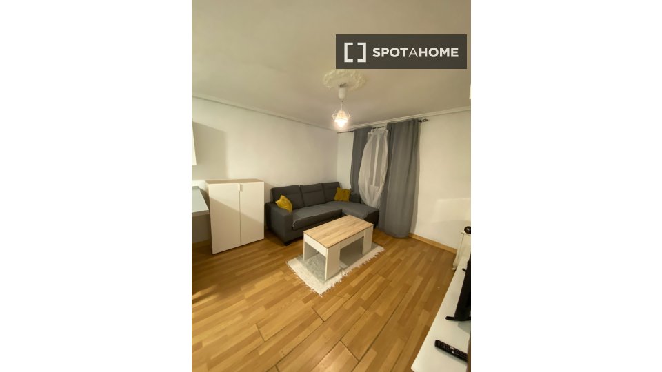 Appartamento con 1 camera da letto in affitto a San Francisco, Bilbao - in Bilbao