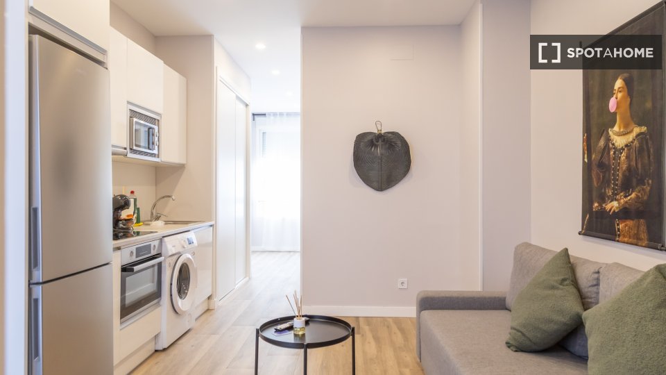 Apartment mono Madrid — photo 14