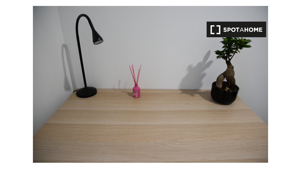 Double room Madrid, 8 beds, 120m² — photo 10