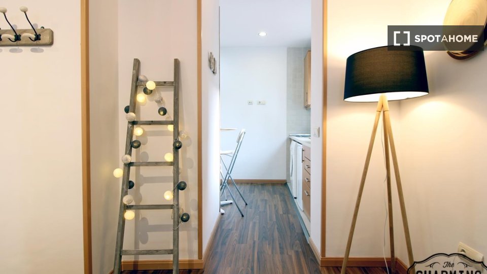 Apartment Madrid, 1 bed — photo 16