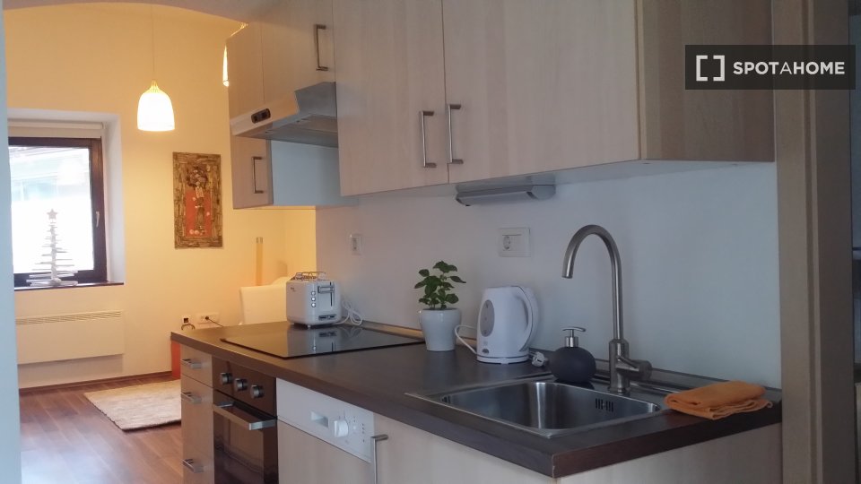 Apartment mono Ljubljana, 30m² — photo 15