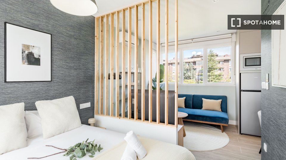 Apartment mono Madrid, 19m² — photo 4