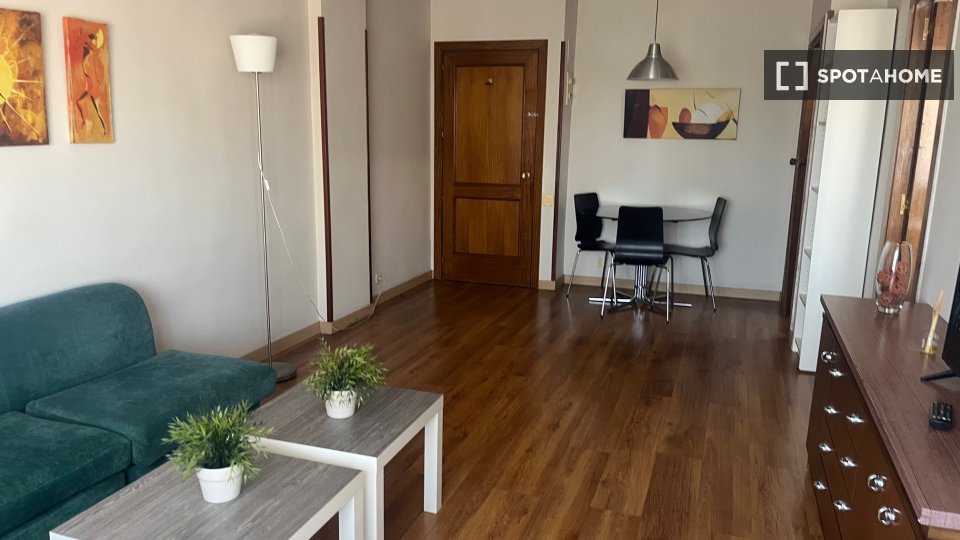 Apartment Madrid, 1 bed — photo 4