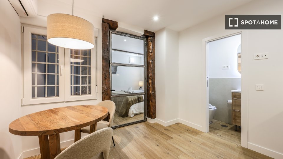 Apartment mono Madrid, 22m² — photo 9