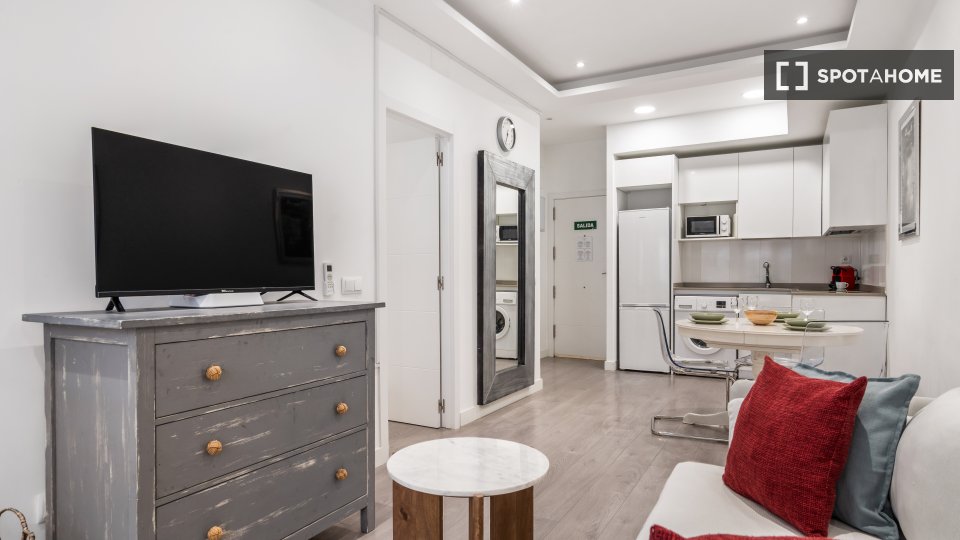 Apartment mono Madrid, 45m² — photo 11