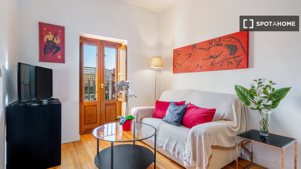 Apartment Madrid, 1 bed — photo 13