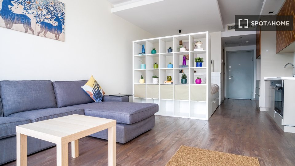 Apartment Istanbul, 1 bed — photo 4