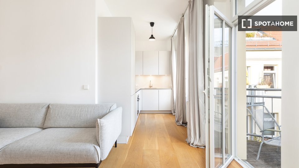 Apartment mono Berlin, 40m² — photo 8