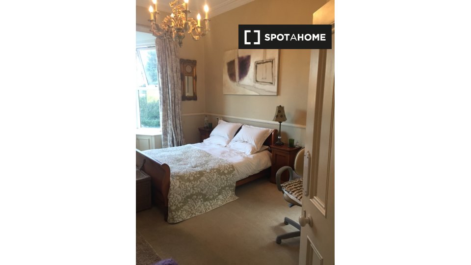 Double room Dublin, 5 beds — photo 1