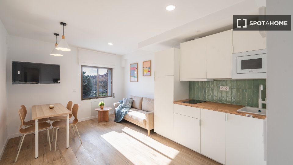 Apartment mono Madrid, 30m² — photo 11