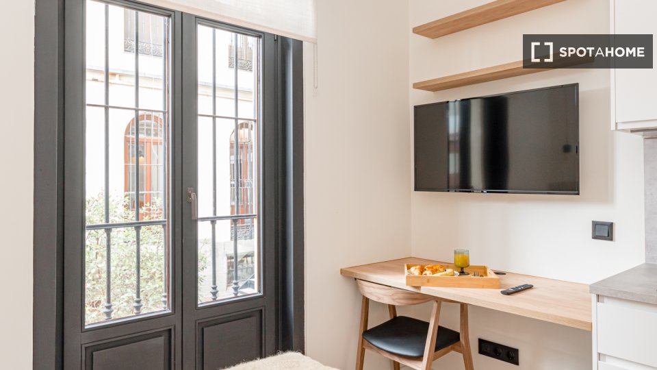 Apartment mono Madrid, 17m² — photo 10