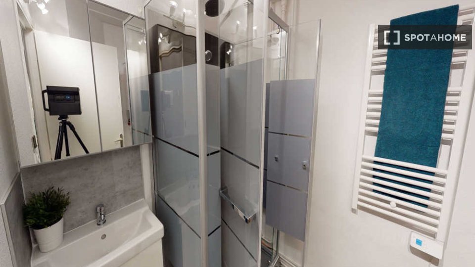 Double room Toulouse, 5 beds, 140m² — photo 15