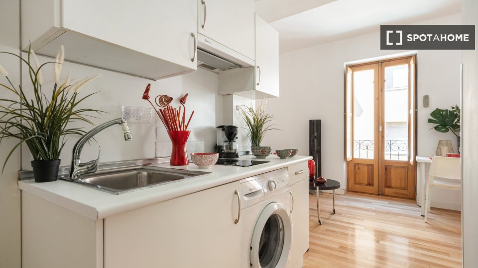Apartment Madrid, 1 bed — photo 13