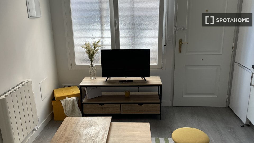Apartment mono Madrid, 26m² — photo 6