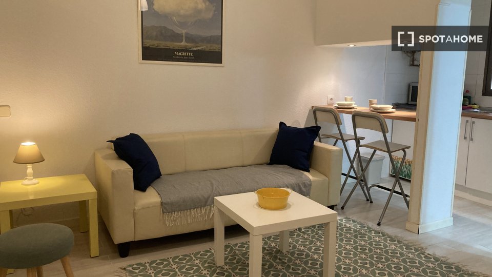 Apartment Madrid, 1 bed — photo 10
