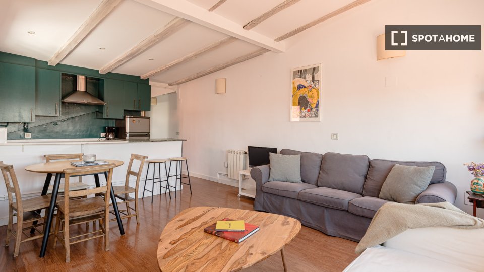 Apartment Madrid, 2 beds — photo 11