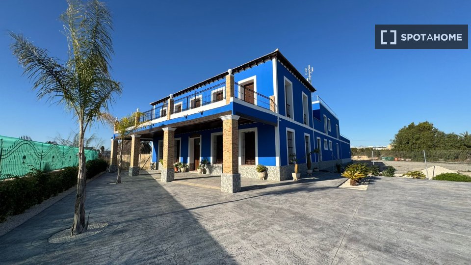 Double room Alicante, 10 beds, 650m² — photo 5