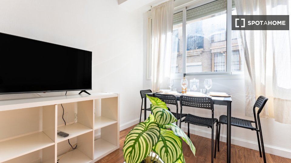 Apartment mono Malaga, 45m² — photo 11