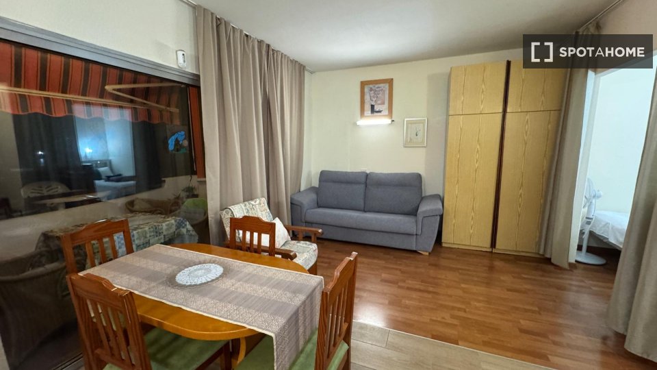 Apartment mono Santa_Cruz_De_Tenerife, 46m² — photo 6