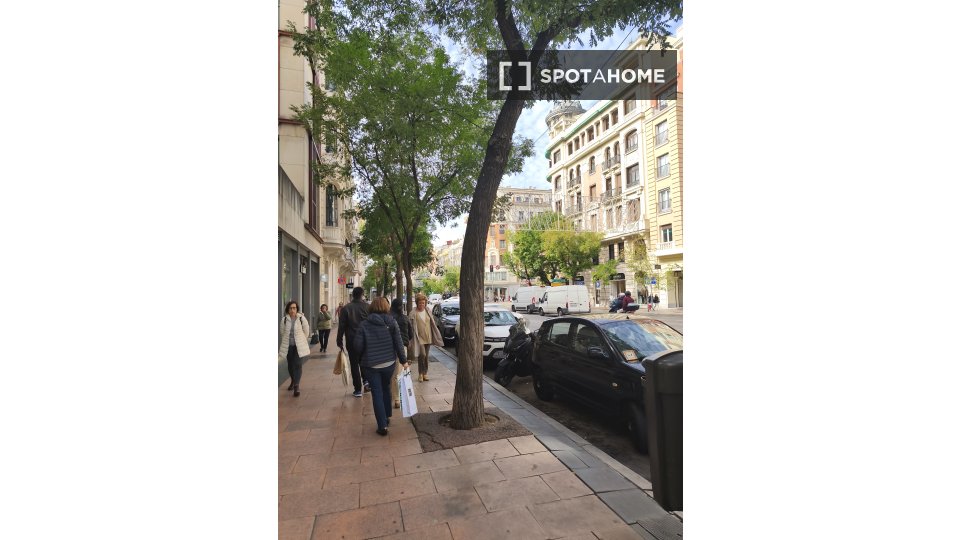 Double room Madrid, 7 beds, 132m² — photo 10