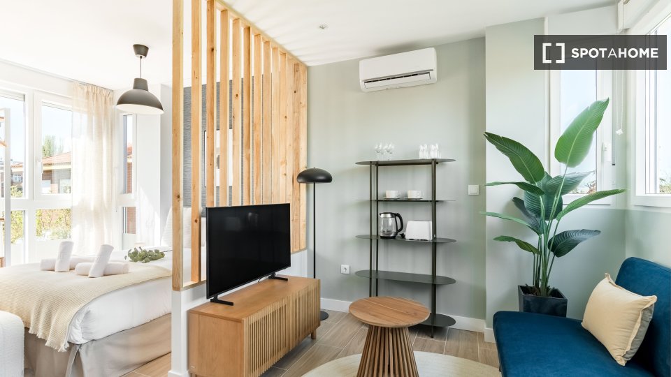 Apartment mono Madrid, 19m² — photo 7