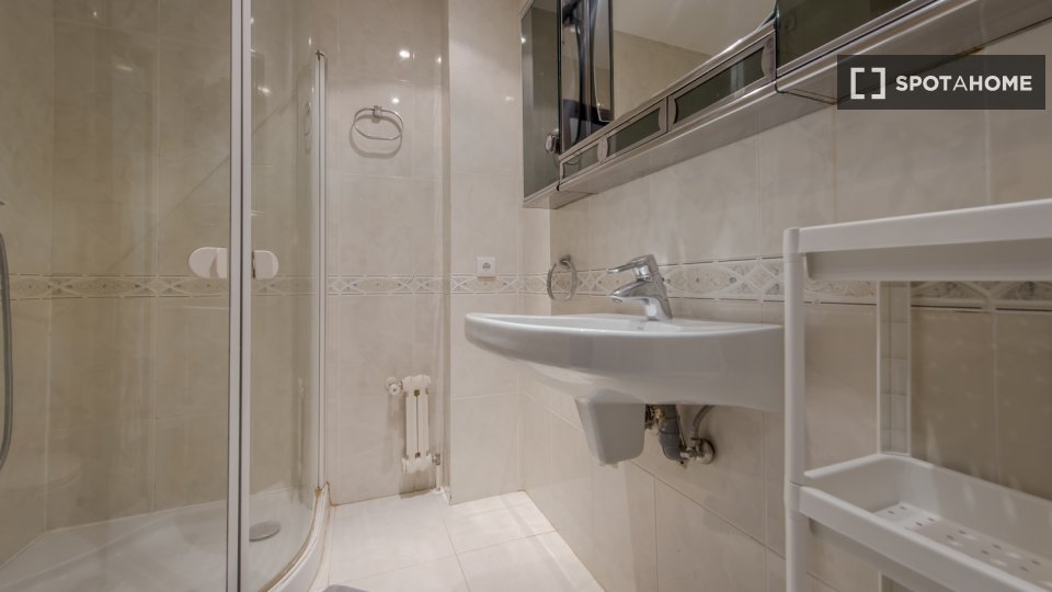 Double room Madrid, 9 beds, 220m² — photo 15