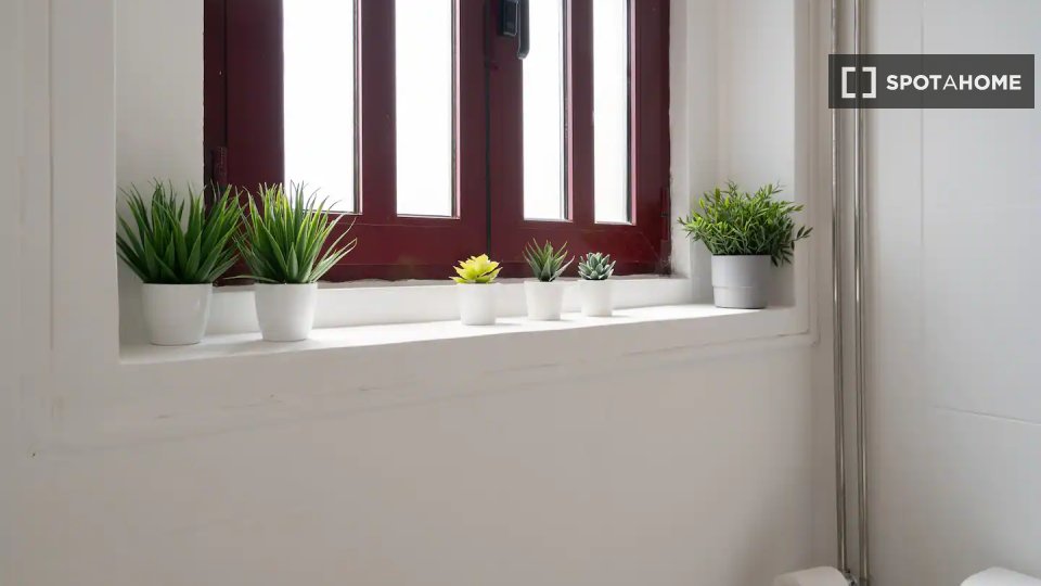 Apartment Porto, 3 beds — photo 15
