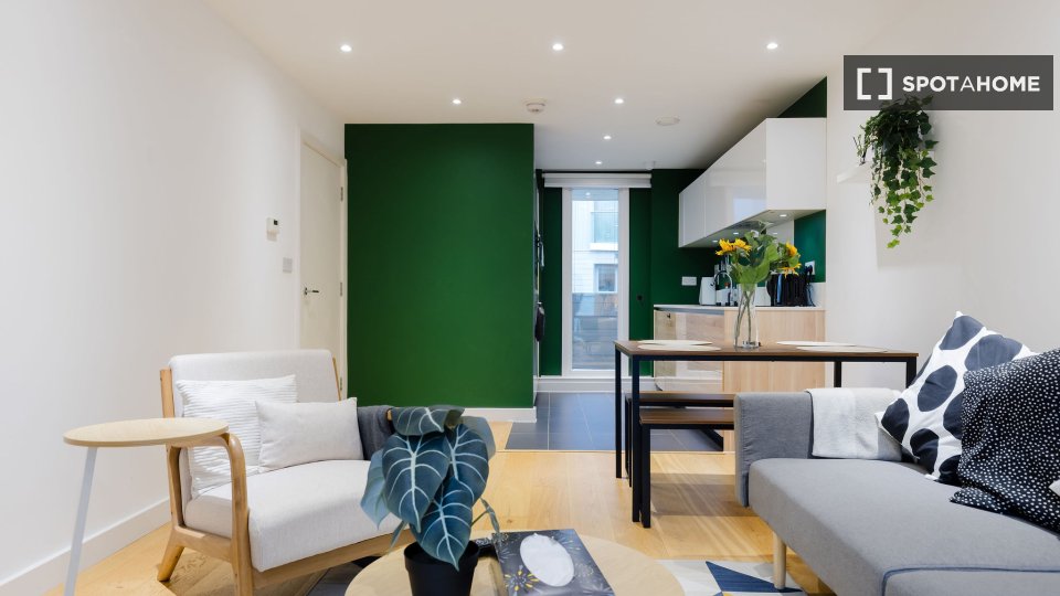Apartment London, 1 bed — photo 8