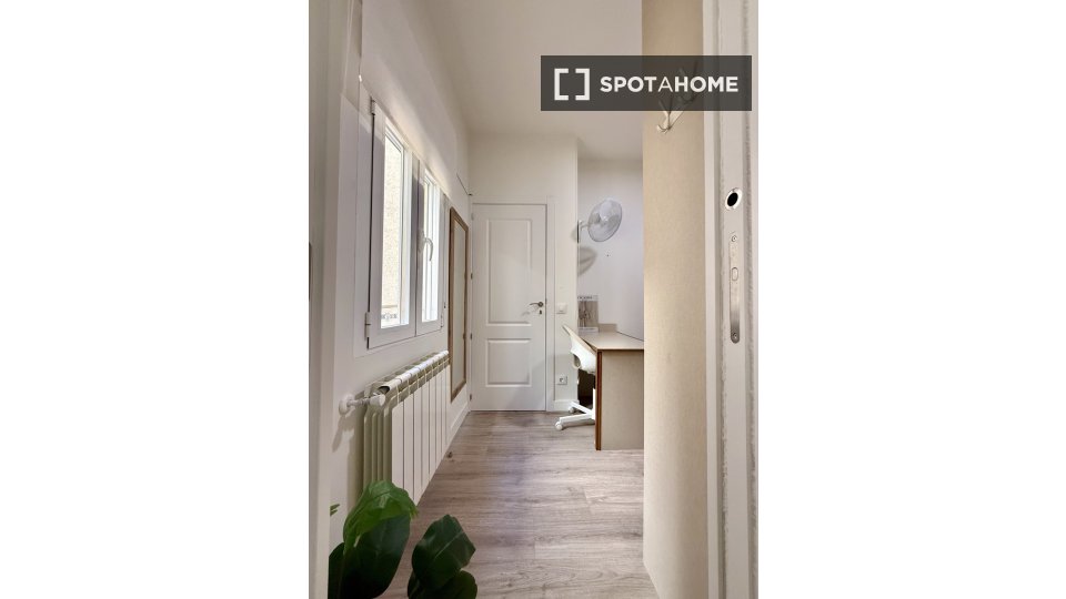 Apartment mono Madrid, 17m² — photo 12