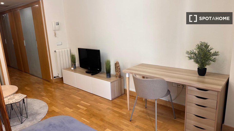 Apartment mono Madrid, 42m² — photo 10