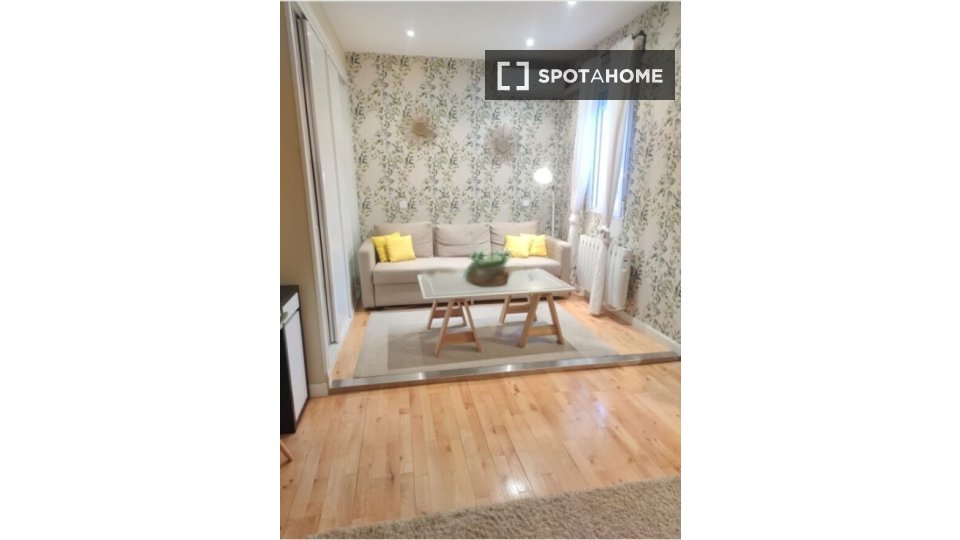 Apartment Madrid, 1 bed — photo 7
