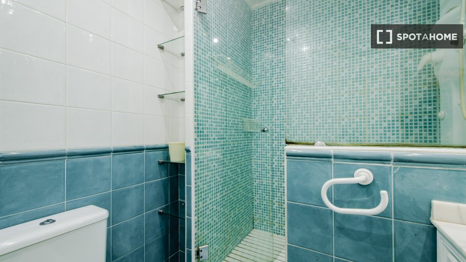 Double room Madrid, 11 beds, 250m² — photo 9