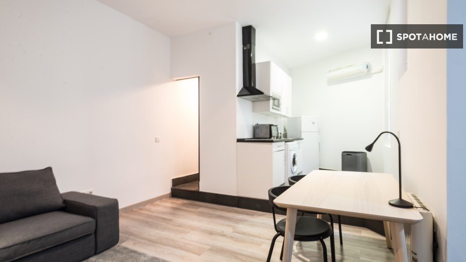 Apartment mono Madrid, 30m² — photo 12