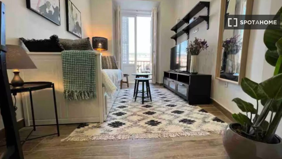 Apartment mono Madrid, 45m² — photo 8