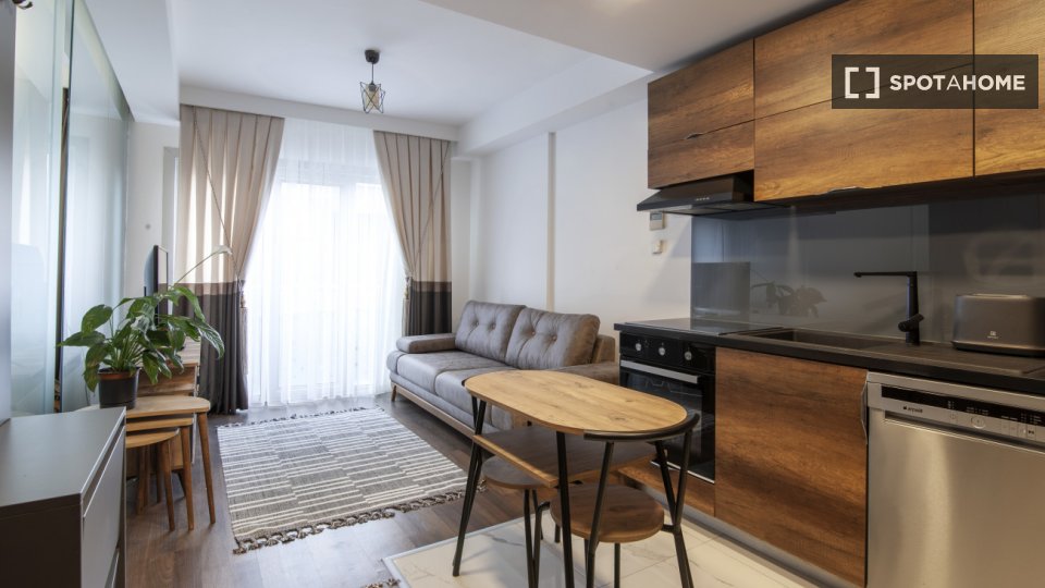 Apartment Istanbul, 1 bed — photo 3