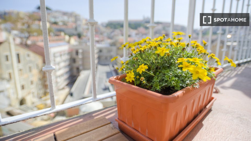 Apartment mono Lisbon, 50m² — photo 1