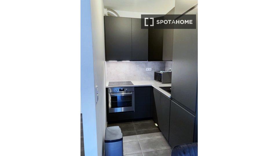 Apartment mono Budapest, 50m² — photo 4