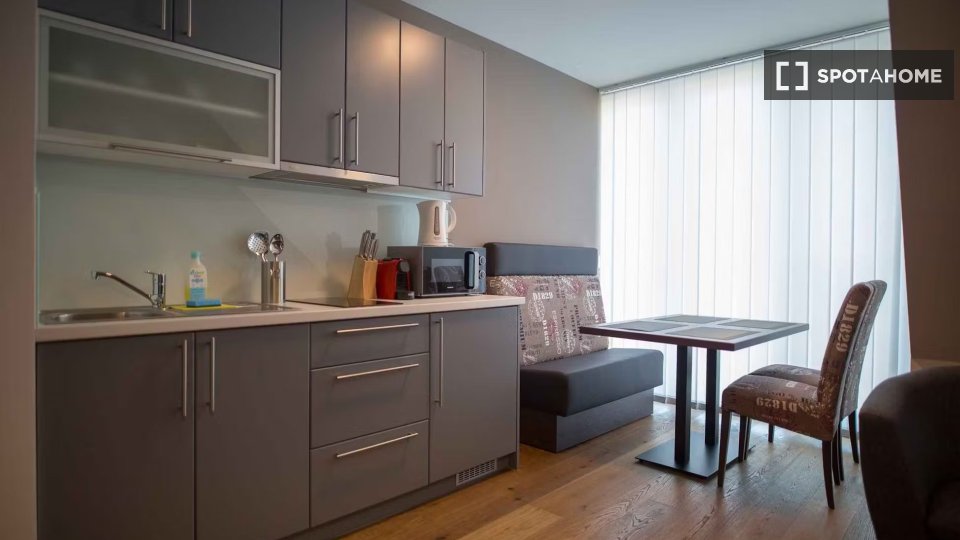 Apartment Vienna, 1 bed, 30m² — photo 4