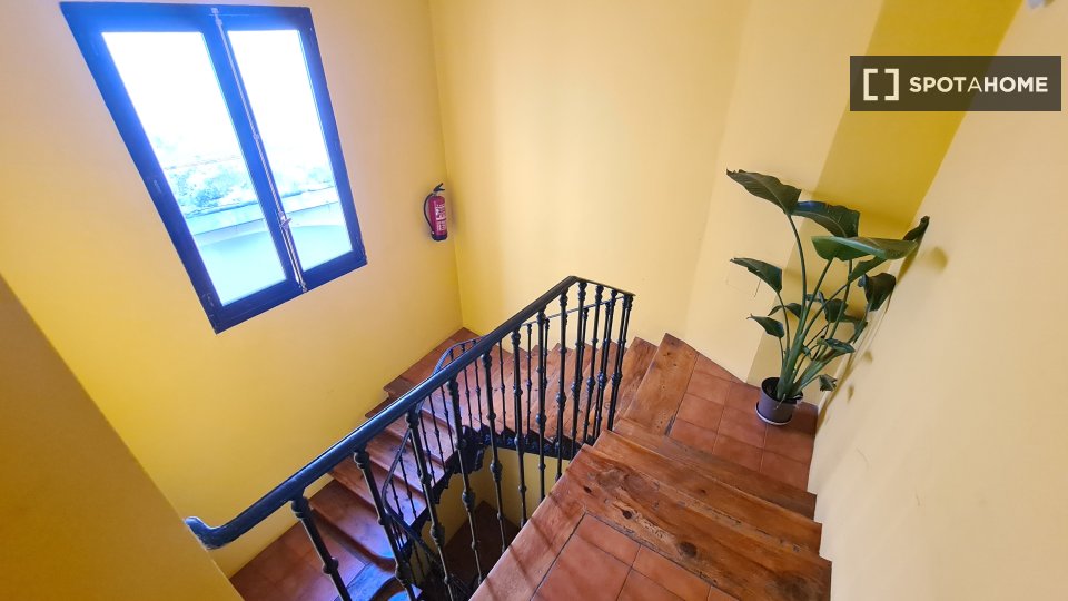 Apartment mono Madrid, 42m² — photo 9