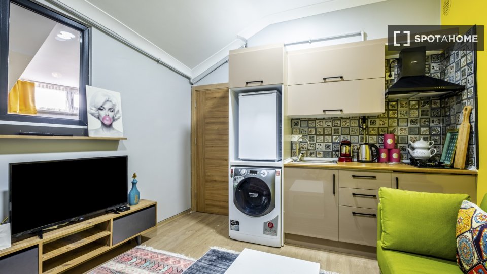 Apartment Istanbul, 1 bed — photo 8
