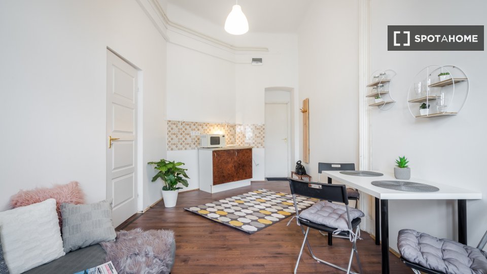 Apartment mono Budapest, 60m² — photo 1
