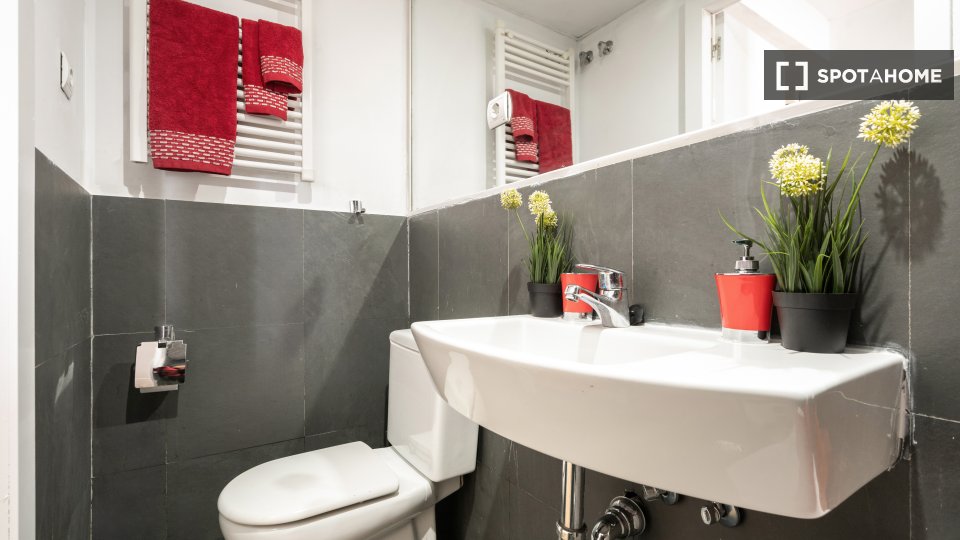 Apartment Madrid, 1 bed — photo 5