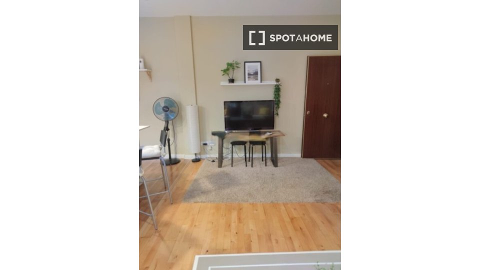 Apartment Madrid, 1 bed — photo 9