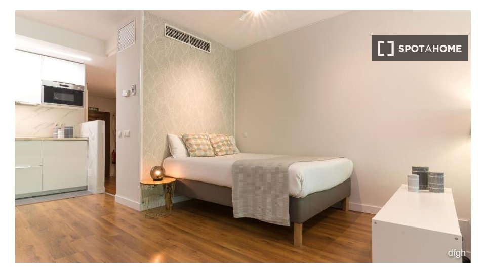 Apartment Madrid, 1 bed — photo 3